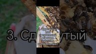 Не делайте так ранней весной