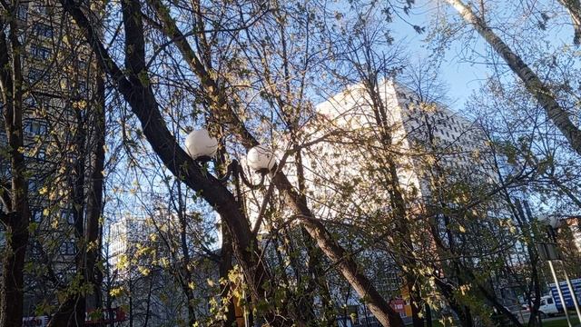 Весна пришла в #Тюмень