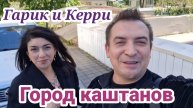 Гарик и Керри- Город каштанов