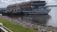 Гуляю по любимому городу//красавица Волга//откуда в Костроме зайцы?