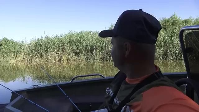 ЗАБРАЛСЯ В РЕАЛЬНУЮ ГЛУШЬ! ПОПАЛ НА НАШЕСТВИЕ САРАНЧИ! Рыбалка на донки.