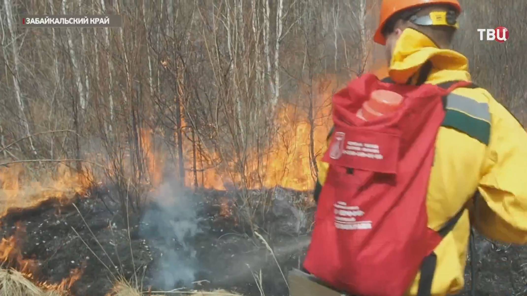 В Забайкалье тушат более 20 природных пожаров / События на ТВЦ