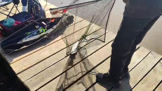 Поимка Форели.Основной водоём