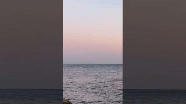 Уточки любуются закатом под музыку морских волн...