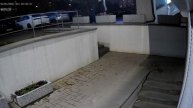 Самара Карла Маркса 55 Вредители \ ВОры