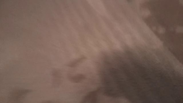мы попали в игру в кальмара часть 2