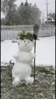 VID-20250502-WA0017.mp4