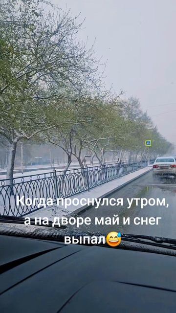 выпал снег