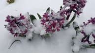 1 мая. Ярославская область
