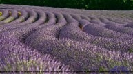 ❤❤❤ Трек, меняющий твое настроение - Dramatic Sentimental -- Lowtone Music -- Unnamed album.mp4