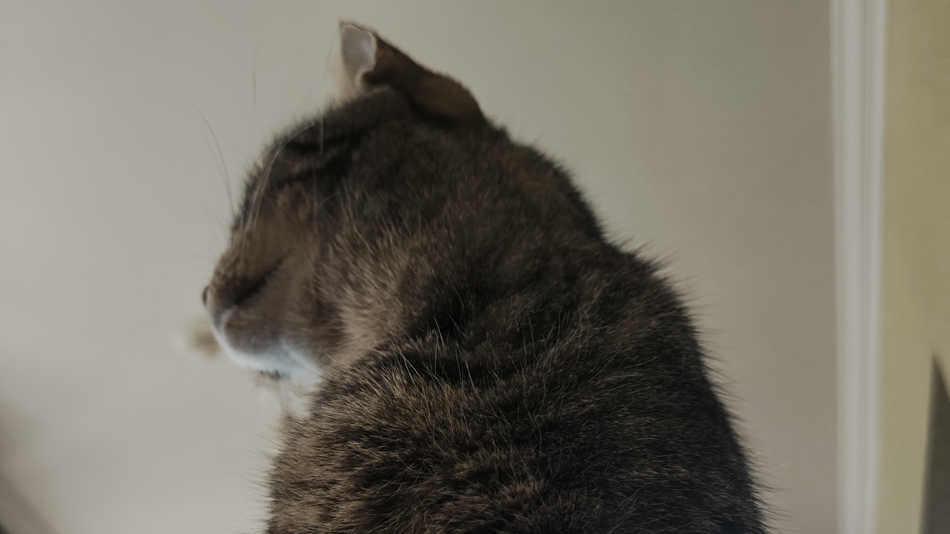 МУР
