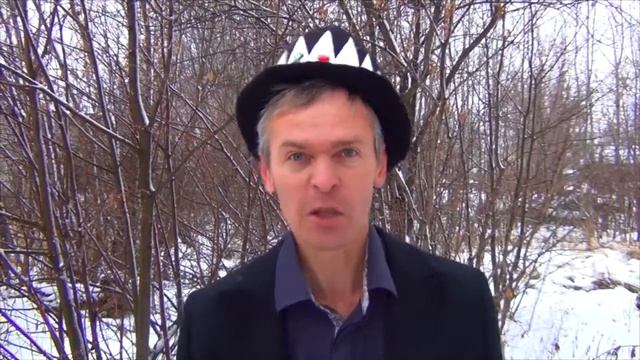 В поисках новогодней елочки