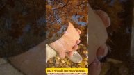 Мы с тобой две половинки..