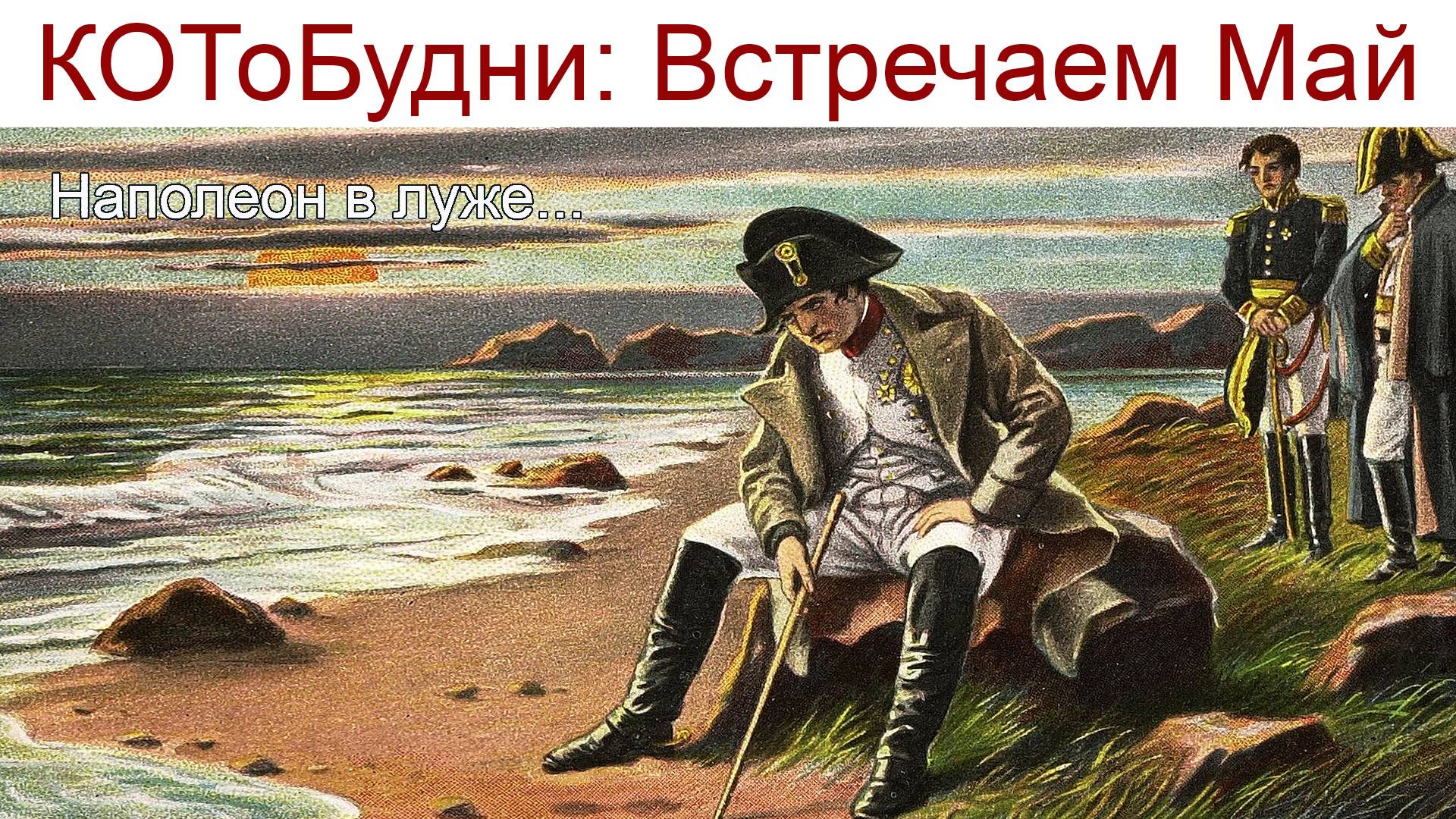 КОТоБУДНИ: Встречаем Май, снег, витютень.., а вы знаете, почему Наполеон сел в лужу?