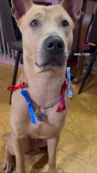 Мама хочет внуков, тем временем я .... )