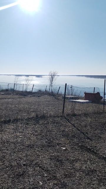 Волга. Образцов.