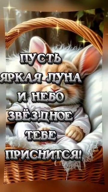 спокойной ночи