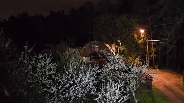 СТАНОВЛЕНИЕ МАСТЕРА