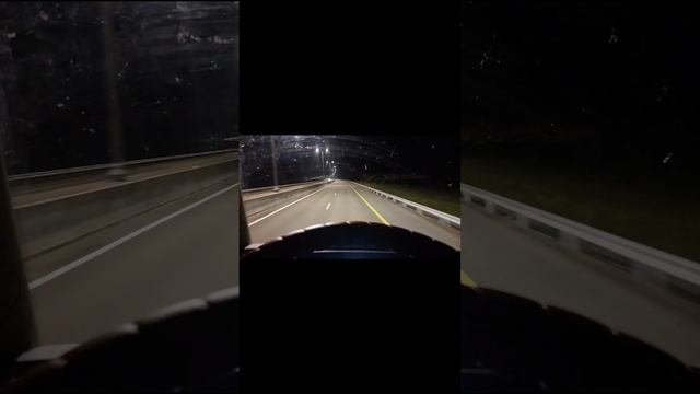 Ну и куда без дорог. Котам нравиться😁