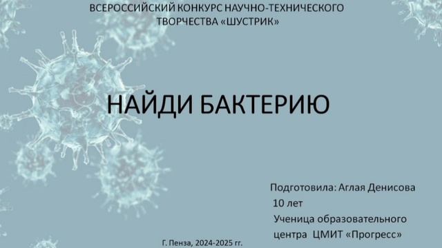 Шустрик 2025 6.1