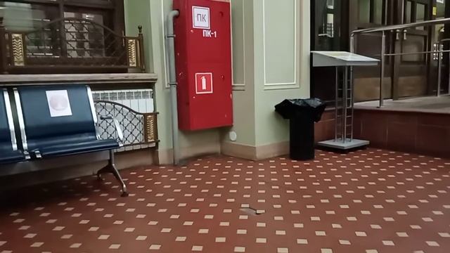 Несколько минут из жизни ст. Тверь. 6 (29.05.21)