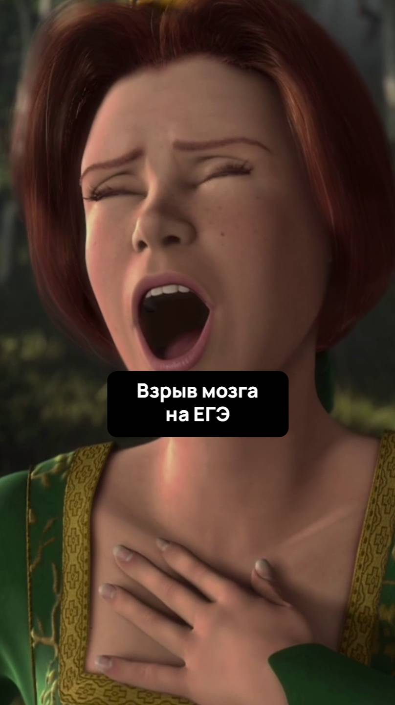 POV: Когда пришёл на ЕГЭ по профмату
