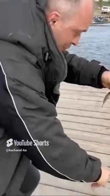 Варашиловка в деле #fishing #рыбалка #варашиловка #stalingradfishers #kachanel