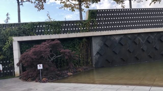 Красота в каждом уголке в парке Галицкого