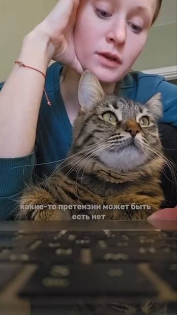 Кото экономика
