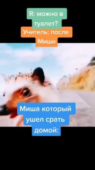 приколы чек