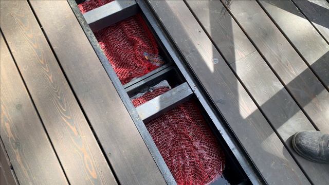 Запуск самодельного биофильтра.Полная загрузка.