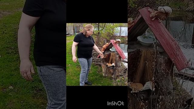 1000004016.mp4