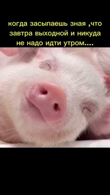😂😂😂