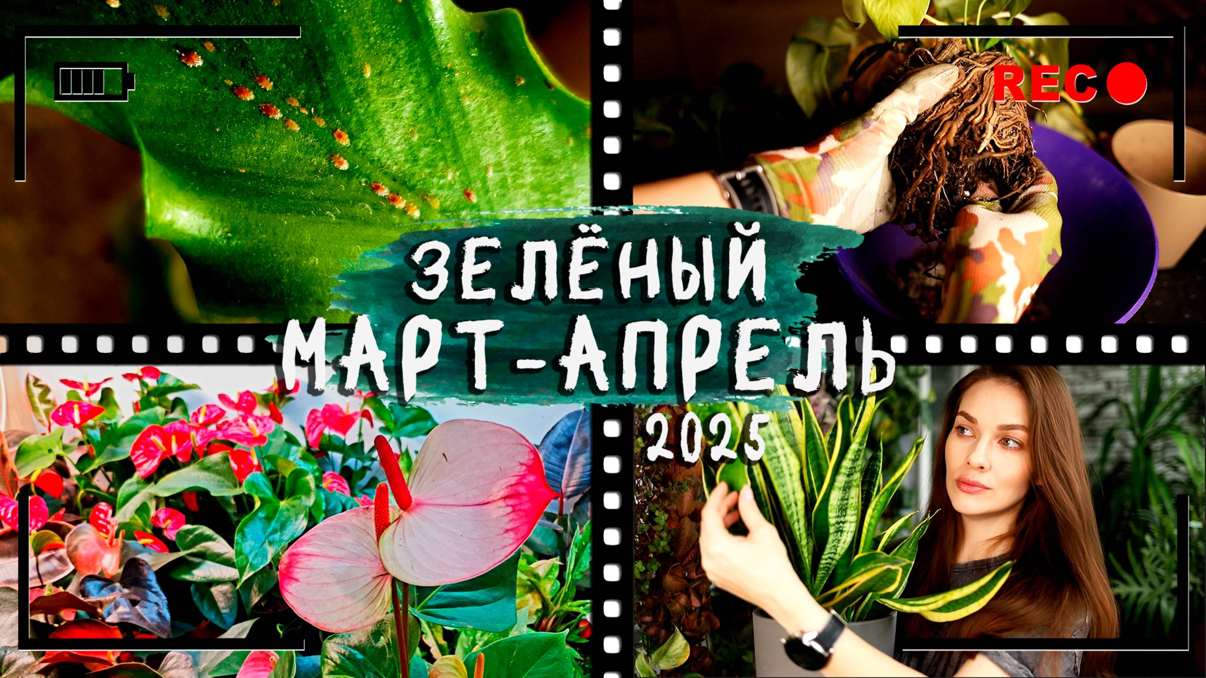 Мой [ЗЕЛЁНЫЙ МАРТ-АПРЕЛЬ] 2025⏭️Куда пропала? Новая работа в цветочном! Полив, пересадки, горшки.