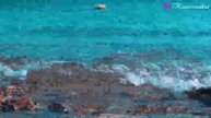 1000051028.mp4