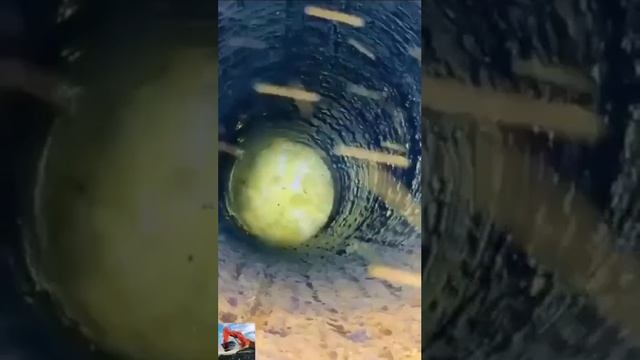 Хорошая техника.