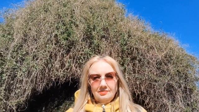 Прекрасна майская Анапа