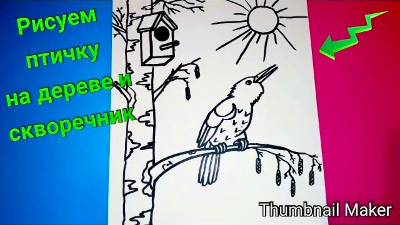 🎨Как нарисовать ПТИЧКУ НА ДЕРЕВЕ и СКВОРЕЧНИК🪶 ПОЭТАПНО🐦⬛