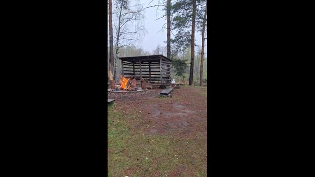 Национальном парке Мещёрский, май 25 го