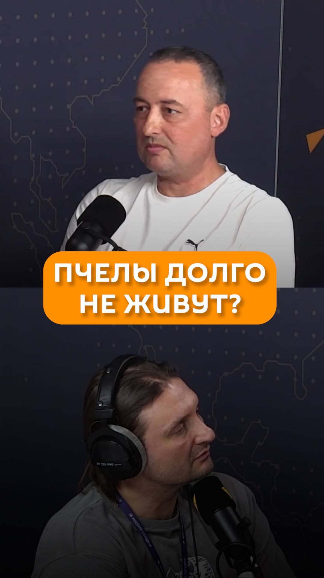Пчелы долго не живут?