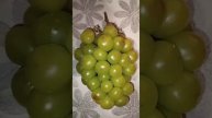 фруктики🙂😋❤️