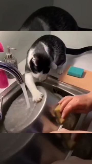 Юмор