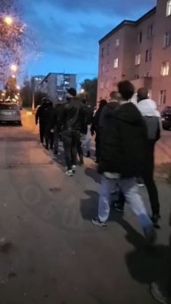 В Подмосковье Дружина Русской Общины навела порядок на улицах поселка !!!