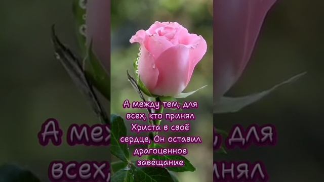 О главном для души # христианская музыка