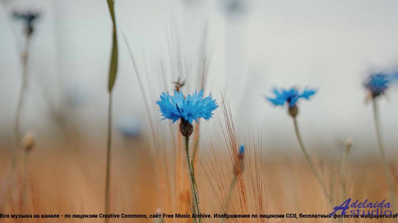 ❤ ♥ ❤ Клип, который хочется смотреть вдвоем - In The Now (Medium Version) -- BoDleasons -- Feels Lik