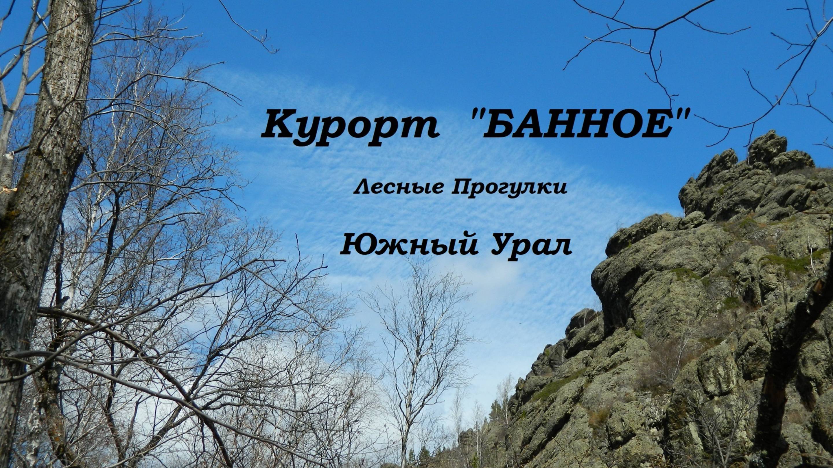 Лесные прогулки. Курорт #Банное