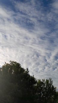 Весеннее небо,