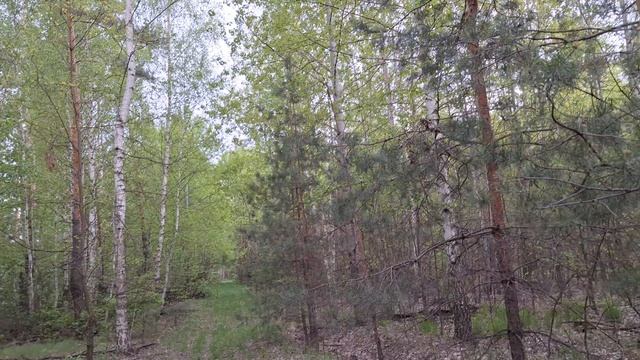 "Здание" ужасы смотреть новое видео 2025 года, про ужасы онлайн лучшие ужастики бесплатно  #ужасы #ф