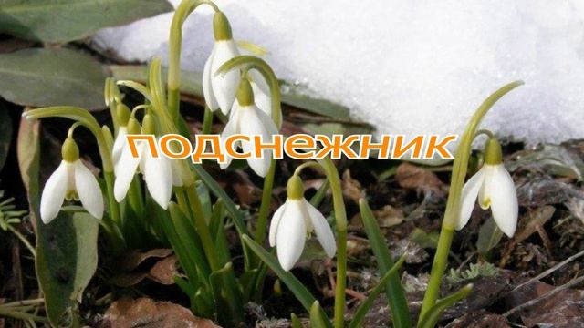 Урок 4.4. Современный эффект переворачивания текста. Техника Flip