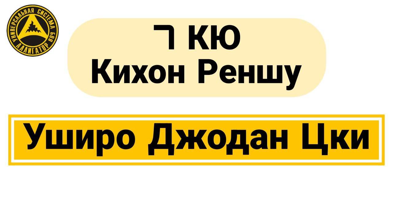 7 Кю Кихон Реншу: Уширо Джодан Цки